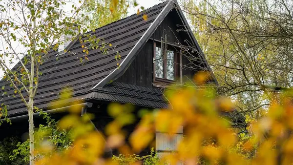 An Autumn Roof Check for Leaves, Wind, and Rain